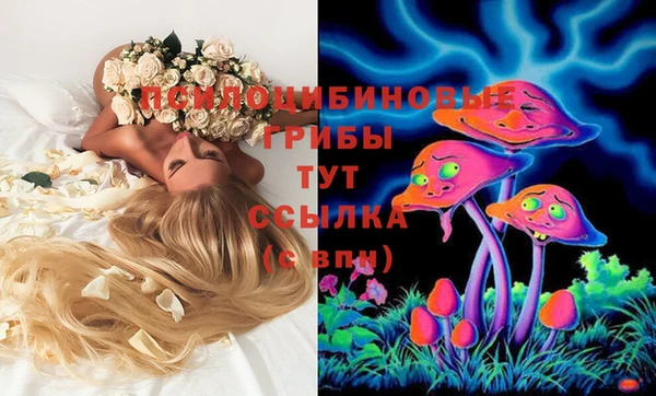 spice Остров