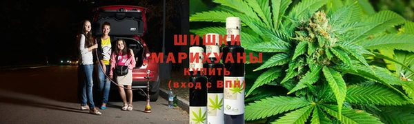 круглые Осинники
